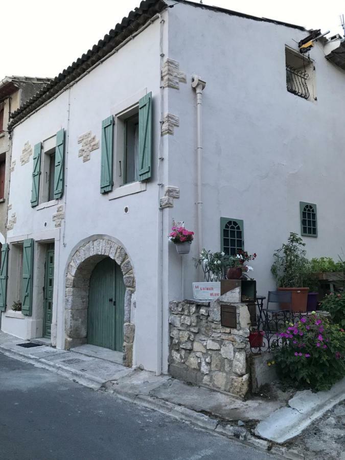 Chambre D'Hotes Le Laurier Blanc Portel-des-Corbieres Exterior foto